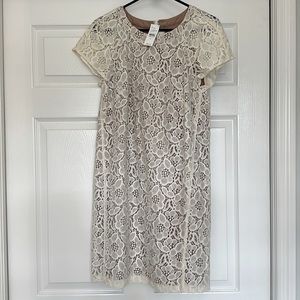 NWT LOFT size 8 white lace dress